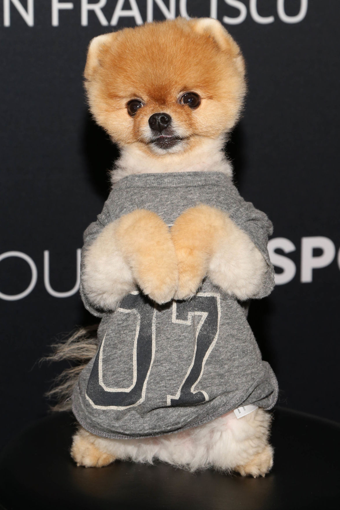 Jiff Pom